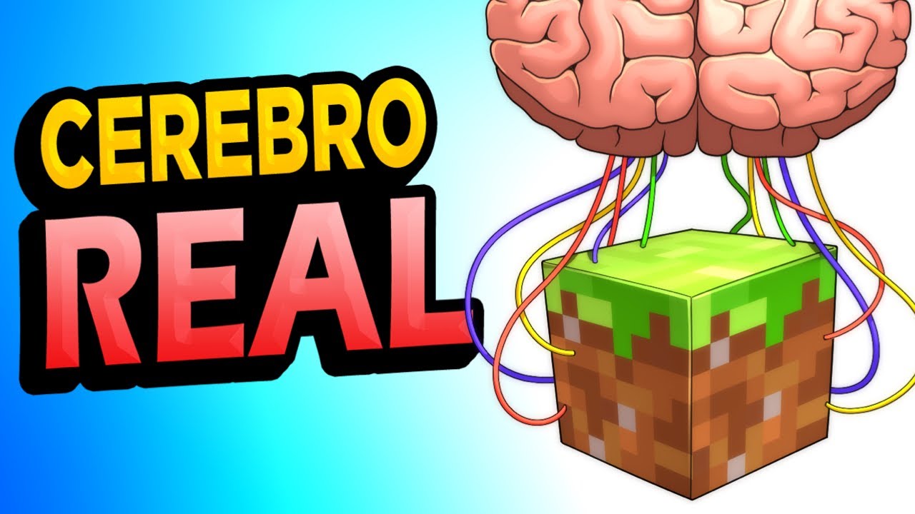 Metieron un CEREBRO REAL en MINECRAFT