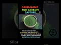 Greensand for carbon capture #futurescience #silicadust #scienceexplained #shorts