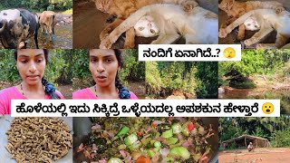 ಹೊಳೆಯಲ್ಲಿ ಇದು ಸಿಕ್ಕಿದ್ರೆ ಒಳ್ಳೆಯದಲ್ಲ, ಅಪಶಕುನ ಹೇಳ್ತಾರೆ 😮ಹೌದಾ..? 🫣😱