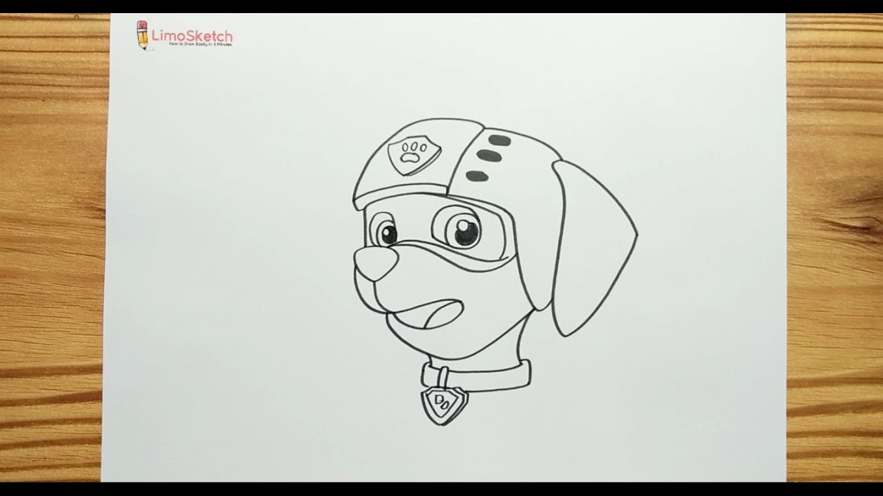 HOW TO DRAWING ZUMA - PAW PATROL