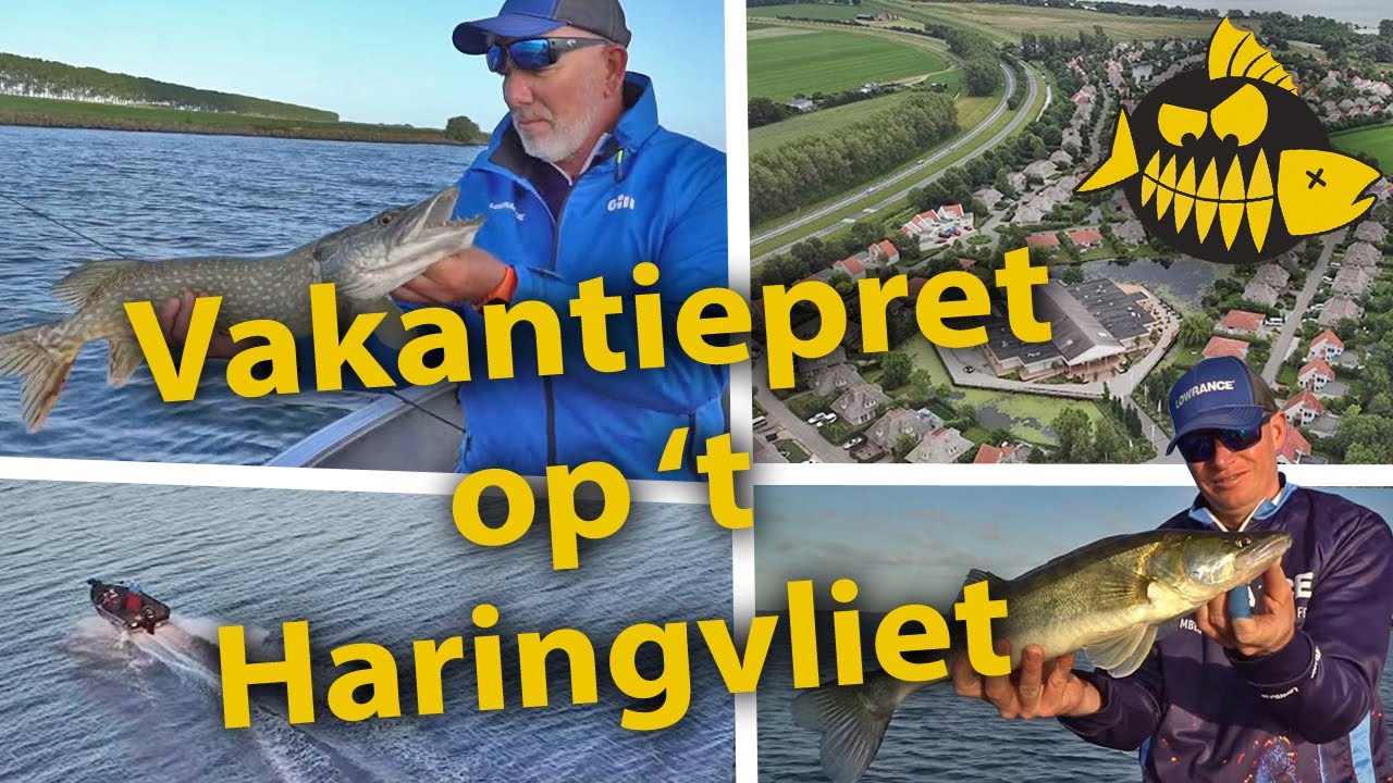 Hoe vis je op snoek op het ondiepe en wat heb je nodig? Roofmeister Hoe vis je op snoek op het ondiepe en wat heb je nodig? Roofmeister