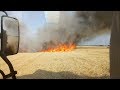 Пожар в поле пшеницы среди уборки, тушим комбайном