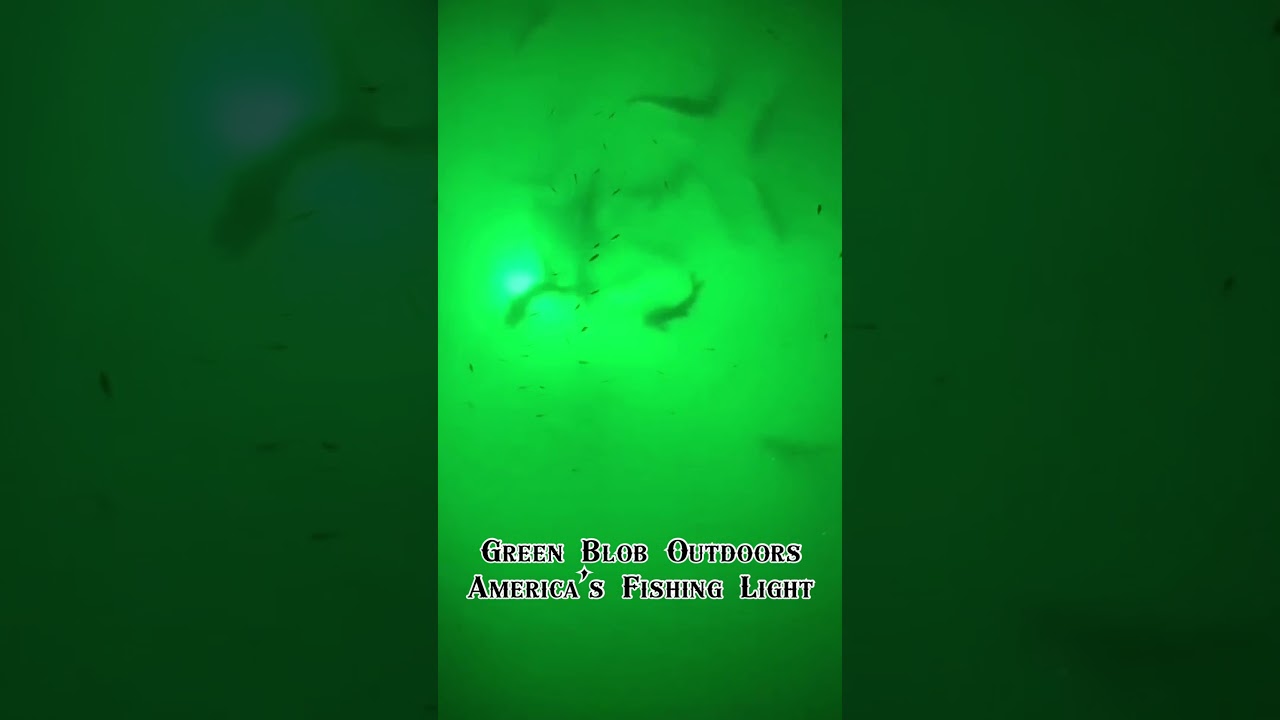 Attracting catfish with the green blob fishing light 