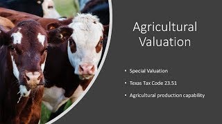 Agricultural Valuation