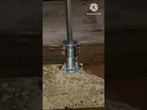    صامولة عجيبة