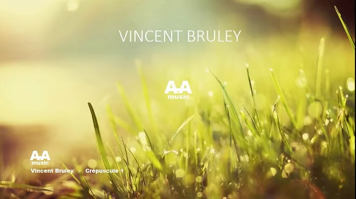 Vincent Bruley