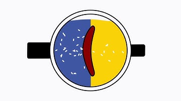 USC Graduate Fellowship Spotlight - Chateaubriand Fellowship