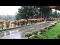 Chinar Hotel & Spa Naftalan# Отель Чинар# Город Нафталан# Дождь# Природа#