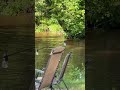 It’s so hot today that even the deer are jumping in the river to cool off. 🤣🇺🇸🦌