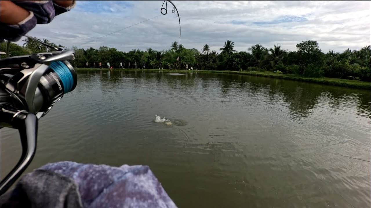 บ่อ [ Dm กะพงบุฟเฟ่ต์ ] #ตกปลากะพง