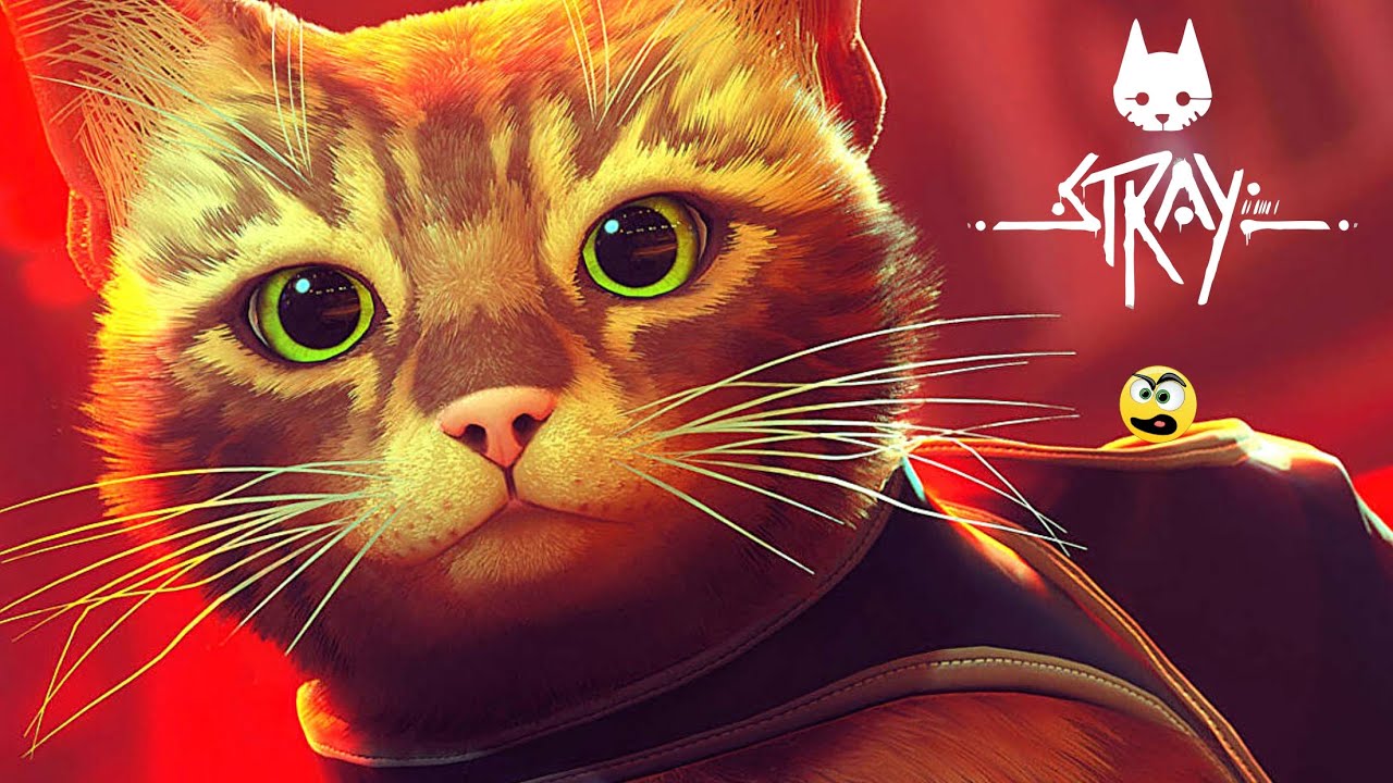 Gatoca: Stray e os melhores jogos de gato, incluindo tabuleiro!