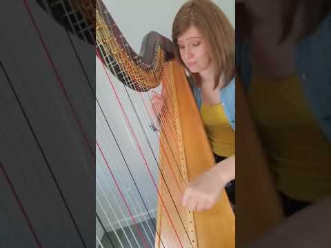 Ruth B Dandelions Shorts 