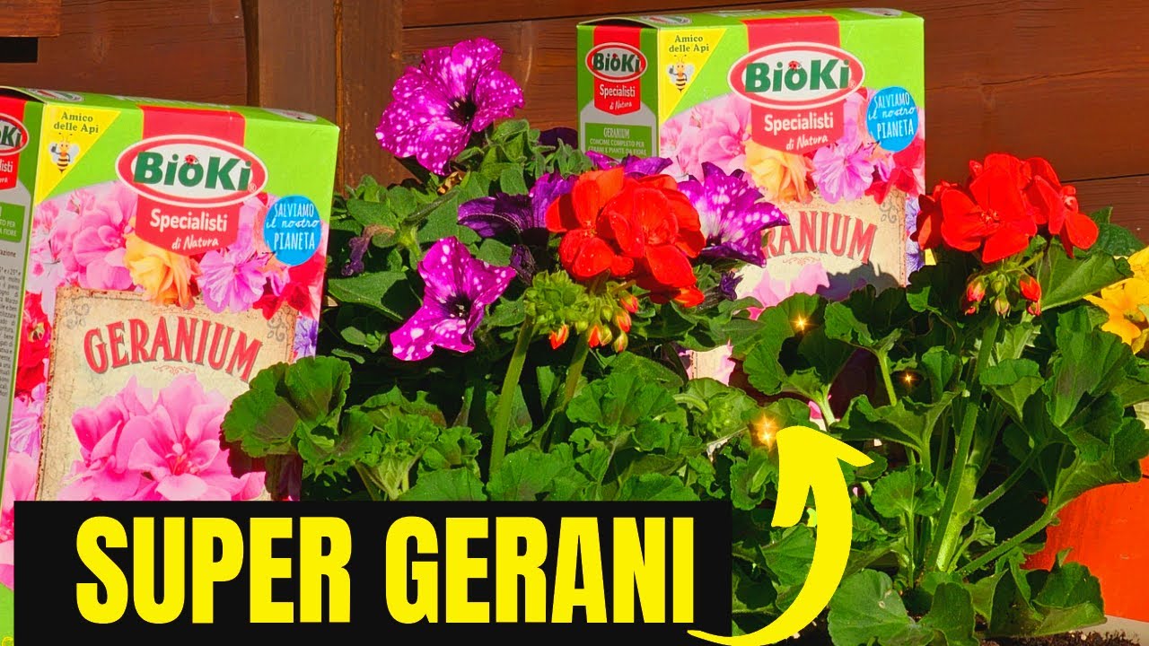 Bioki - Neem Cake Concime Organico Biologico a Base di Neem - 900gr