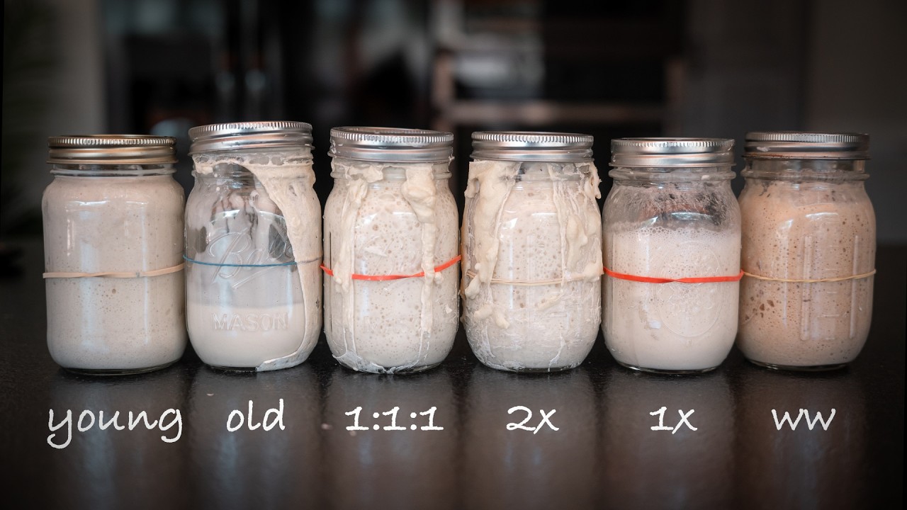 Sourdough Starter Management at Home