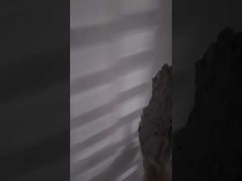 Casagrand construction quality