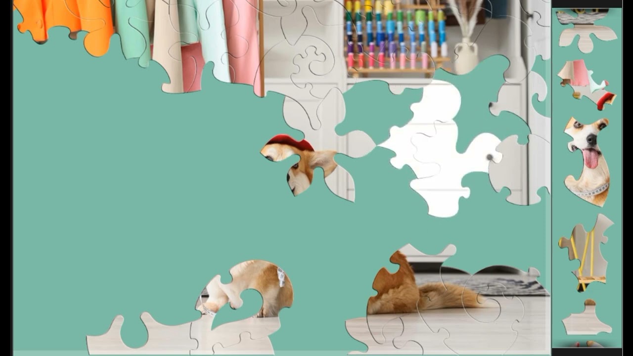 Dress up Your Pet❤️❤️ jigsaw puzzle🧩🧩 \\ 