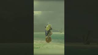 Playing Base Ball With My Octorok Friend