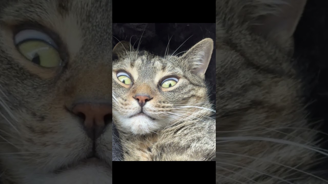 Один из наших друзей попросил у нас совета по поводу отношений.