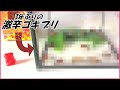 蟻戦争 3年経った「激辛ゴキブリ」は今どうなってる?~spicy roach~