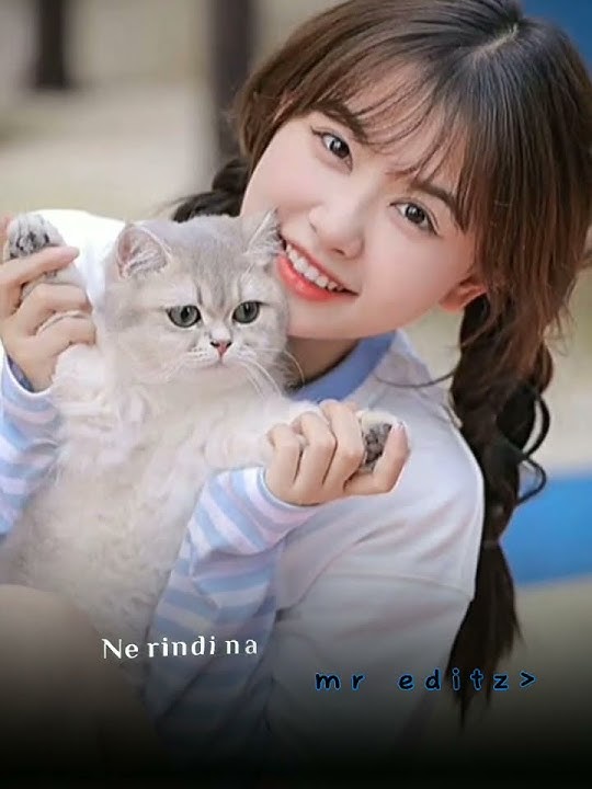 Ne rindi 🔰 || Karbi WhatsApp Status || #heloving akanghon #love