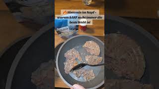 Histamin im Napf