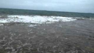 Tonga video 15.AVI