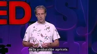 Y Si Comemos Insectos? - Marcel Dicke