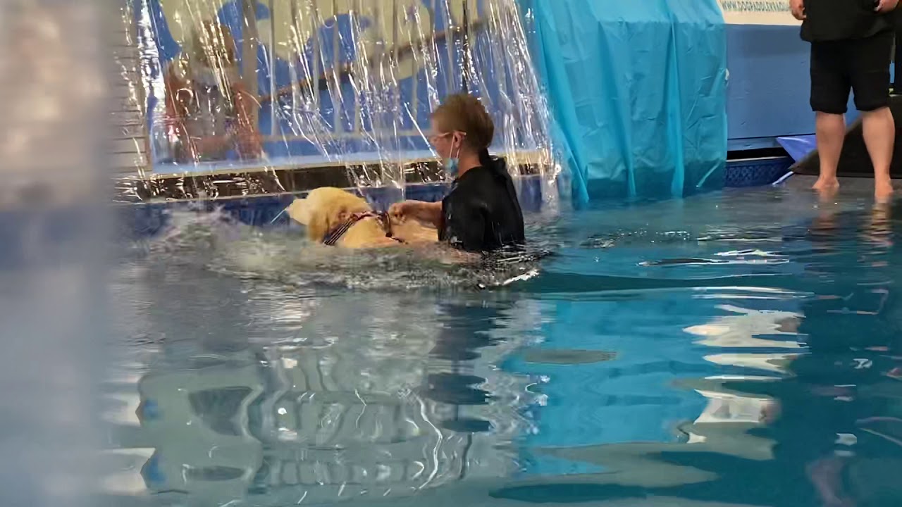 Taya first time at K9 Splash Pool. YouTube
