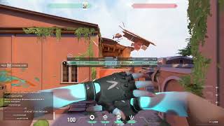 Valroant Triggerbot Showcase ( Can Use Different Settings )
