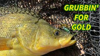 Epic landbased soft plastic fishing session for Yellowbelly & Bass!