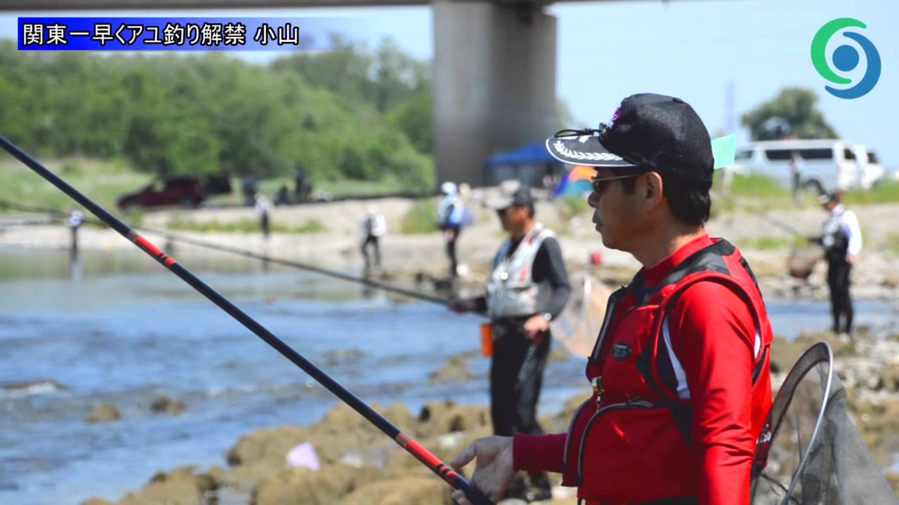 関東一早くアユ釣り解禁 小山 Youtube