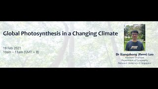 Global Photosynthesis in a Changing Climate