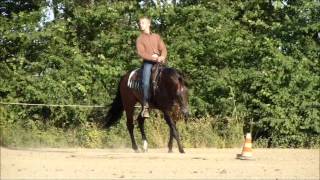 RDVideo - Negus Peppy Jets - Quarter Horse stallion 2004