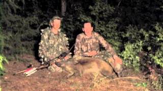 Traditional Archery hog hunt with Dallas Moore of WAC Outdoors