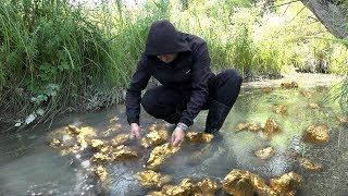 The best moments of the search for gold; An unforgettable day of found treasures!?