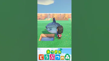 マンボウを小さい穴に逃がすと あつ森 あつまれ どうぶつの森 細かすぎる小ネタ 