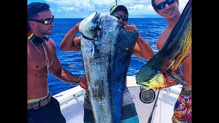 Mahiology - Big Bull Dolphin, Girls Fishing, Slammer Mahi Mahi & Huge Dorado Schools GoPro