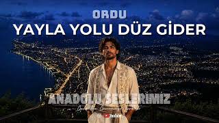 Yayla Yolu Düz Gider - Ordu Türküsü Anatolian Rock Cover