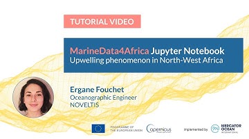 Jupyter Tutorial - MarineData4Africa - Upwelling in North-West Africa
