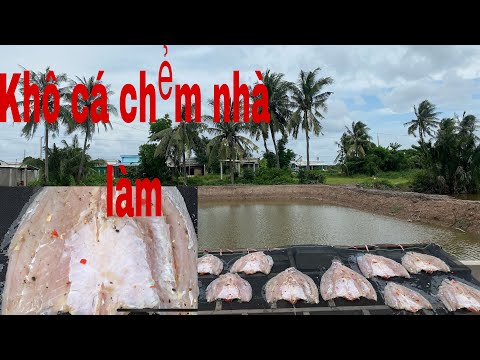 Video: Cách Làm Khô Cá Vược