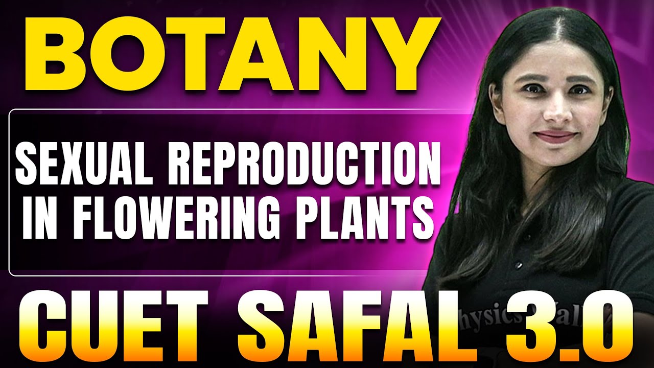 Sexual Reproduction in Flowering Plants | Biology for CUET 2025 | CUET ...