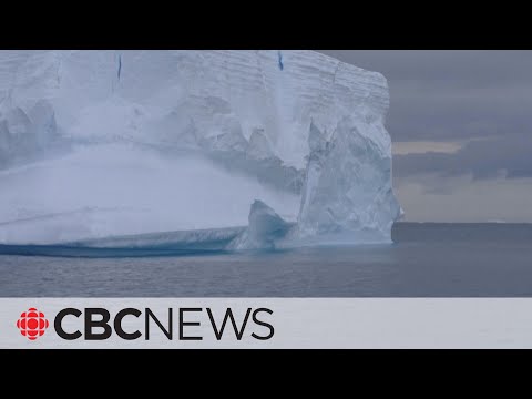 Antarctic sea ice shrinks to lowest annual maximum level on record