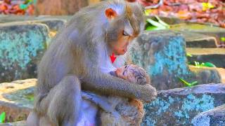 Libby feels that Rina is her former baby Levy, Libby breastfeeds Rina coz she thought Rina is Levy