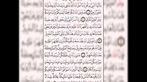 سورة التحريم لشيخ// إبراهيم الأخضر ✨