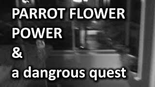 Parrot Flower Power