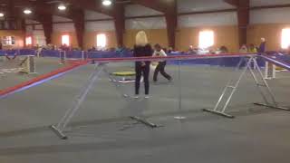 Pixie AKC Standard 3/24/18
