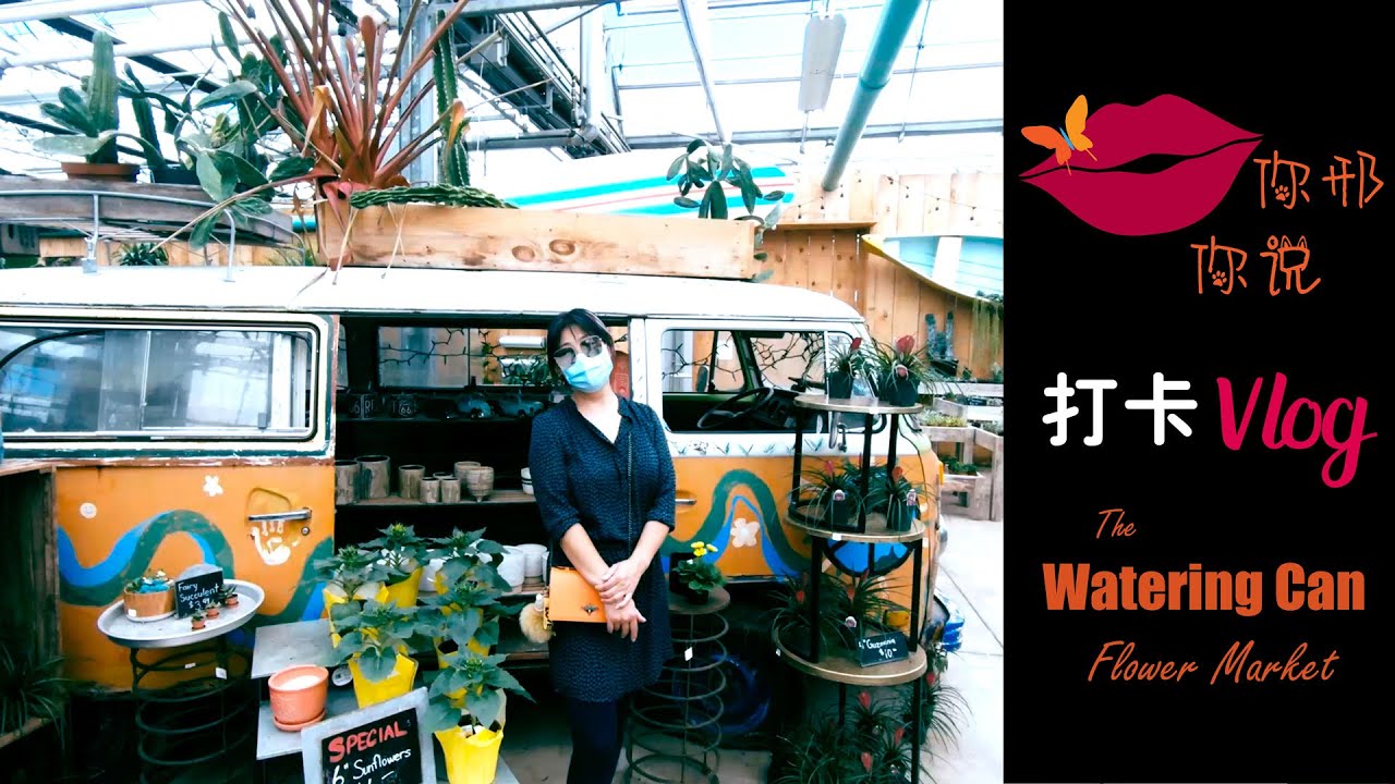【你邢你说】打卡多伦多网红室内花圃 - The Watering Can Flower Market - YouTube