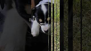 God Bless You bible jesus wisdom