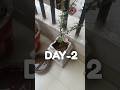 Day 2/75 Hard Challenge