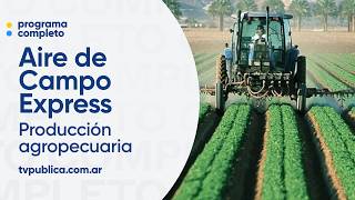 Neuquén: La fortaleza del agro y el auge de la energía - Aire De Campo Express